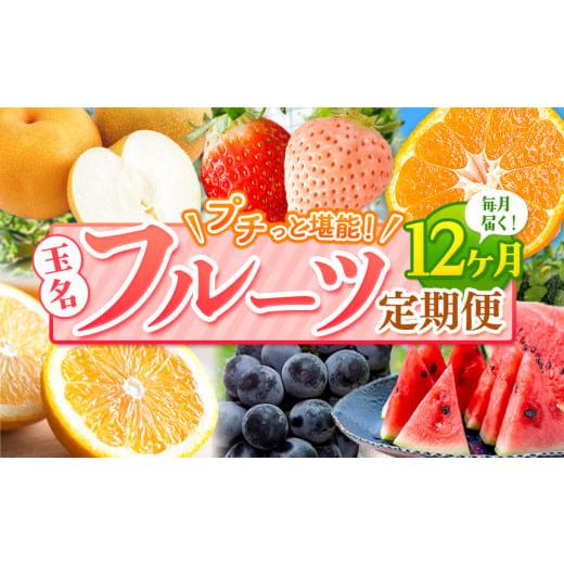 ふるさと納税 果物の詰合せ 熊本県 玉名市 定期便 12回 プチっと 堪能 人気 フルーツ | 赤いちご 白いちご みかん 不知火 デコポン スイカ ぶどう 梨 太秋柿 …