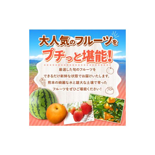 ふるさと納税 果物の詰合せ 熊本県 玉名市  定期便 12回 プチっと 堪能 家庭用 フルーツ定期便 | 果物 フルーツ 高評価 いちご みかん 不知火 スイカ ぶどう …_2