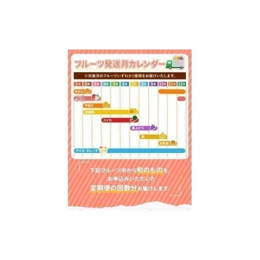 ふるさと納税 果物の詰合せ 熊本県 玉名市  定期便 12回 プチっと 堪能 家庭用 フルーツ定期便 | 果物 フルーツ 高評価 いちご みかん 不知火 スイカ ぶどう …_3