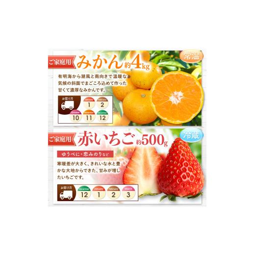 ふるさと納税 果物の詰合せ 熊本県 玉名市  定期便 12回 プチっと 堪能 家庭用 フルーツ定期便 | 果物 フルーツ 高評価 いちご みかん 不知火 スイカ ぶどう …_4
