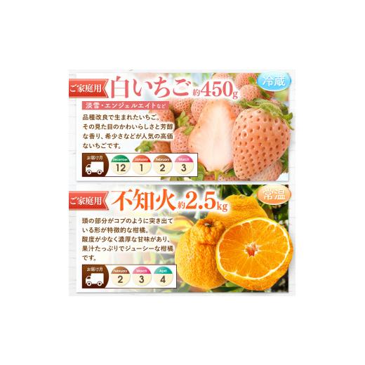 ふるさと納税 果物の詰合せ 熊本県 玉名市  定期便 12回 プチっと 堪能 家庭用 フルーツ定期便 | 果物 フルーツ 高評価 いちご みかん 不知火 スイカ ぶどう …_5
