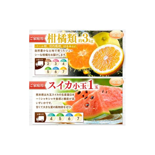ふるさと納税 果物の詰合せ 熊本県 玉名市  定期便 12回 プチっと 堪能 家庭用 フルーツ定期便 | 果物 フルーツ 高評価 いちご みかん 不知火 スイカ ぶどう …_6