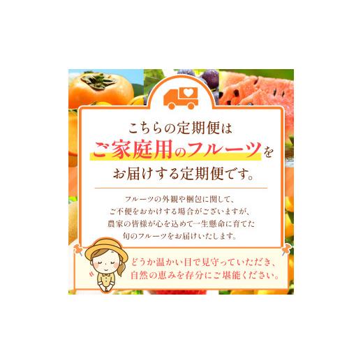 ふるさと納税 果物の詰合せ 熊本県 玉名市  定期便 12回 プチっと 堪能 家庭用 フルーツ定期便 | 果物 フルーツ 高評価 いちご みかん 不知火 スイカ ぶどう …_9