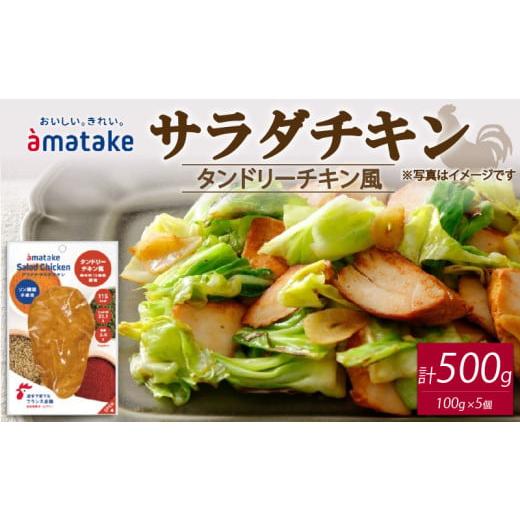 ふるさと納税 鶏肉 ムネ 岩手県 大船渡市 サラダチキン タンドリーチキン風 100g×5個 1回 1回 寄附金額7,000円