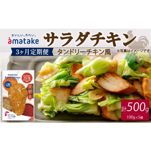 ふるさと納税 鶏肉 ムネ 岩手県 大船渡市 サラダチキン タンドリーチキン風 100g×5個 3回(3ヶ月定期便) 3回 寄附金額21,000円