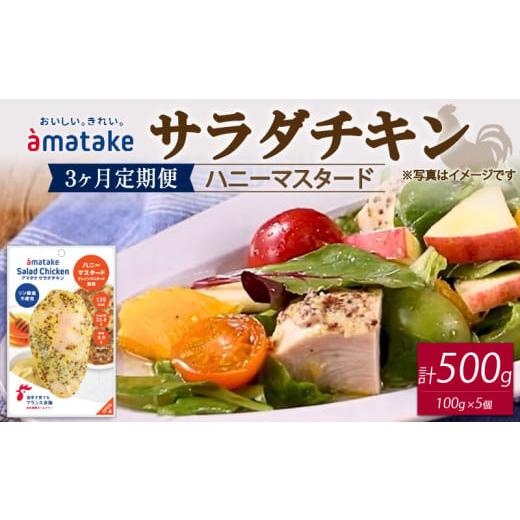 ふるさと納税 鶏肉 ムネ 岩手県 大船渡市 サラダチキン ハニーマスタード味 100g×5個 3回(3ヶ月定期便) 3回 寄附金額21,000円