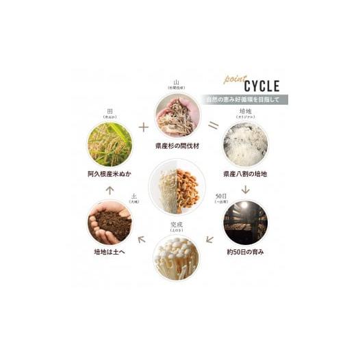 ふるさと納税 野菜類 きのこ 鹿児島県 阿久根市 国産のえのきやきのこ使用 濃いきのこの炊き込みご飯の素(2合用×30袋) 国産 だし醤油 きのこご飯 椎茸 しいた…_3