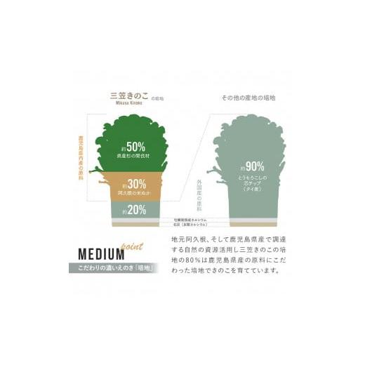 ふるさと納税 野菜類 きのこ 鹿児島県 阿久根市 国産のえのきやきのこ使用 濃いきのこの炊き込みご飯の素(2合用×30袋) 国産 だし醤油 きのこご飯 椎茸 しいた…_5