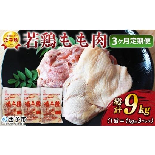 ふるさと納税 鶏肉 モモ 愛媛県 西予市 愛媛県産 銘柄鶏 浜千鶏(はまちどり)若鶏もも肉 3kg(1kg×3)3ヶ月定期便 国産 鶏肉 鳥肉 とり チキン モモ肉 はま…