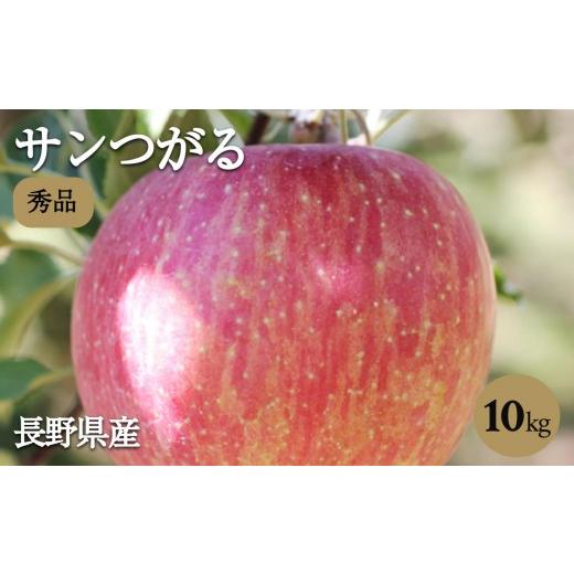 ふるさと納税 りんご 長野県 飯田市 りんご の 一番手 長野県産 りんご ( サンつがる ) 約10kg 秀品 [2026年9月上旬〜9月中旬発送]| 山下屋荘介 果物 くだも…