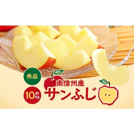 ふるさと納税 りんご 長野県 飯田市 人気の品種 長野県産 りんご ( サンふじ ) 約10kg 2026年11月下旬〜12月中旬発送 | 山下屋荘介 果物 くだもの フルーツ り…
