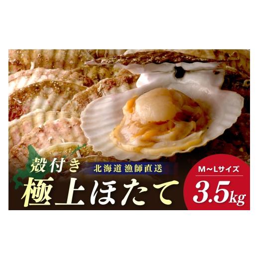 ふるさと納税 魚貝類 ホタテ 北海道 北見市 予約:2026年3月下旬から順次発送 北海道オホーツク産 漁師直送 殻付きプレミアムホタテ 3.5kg ( 魚介 海鮮 貝 ホ…