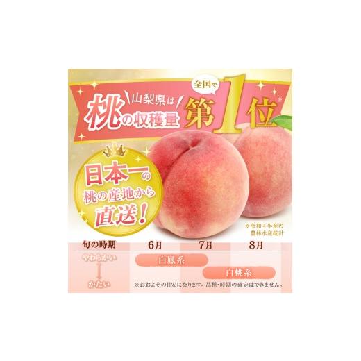 ふるさと納税 もも 山梨県 甲州市 農家直送 訳あり 桃 約3kg 7〜15玉 2026年発送 （YKI）A08-990 桃 もも モモ 令和8年発送 期間限定 山梨県産 甲州市 フルー…の画像