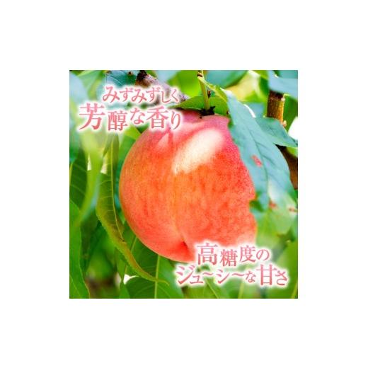 ふるさと納税 もも 山梨県 甲州市 農家直送 訳あり 桃 約3kg 7〜15玉 2026年発送 （YKI）A08-990 桃 もも モモ 令和8年発送 期間限定 山梨県産 甲州市 フルー…の画像
