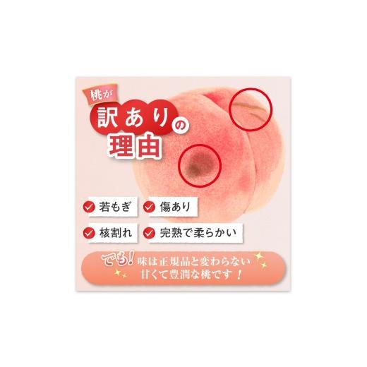 ふるさと納税 もも 山梨県 甲州市 農家直送 訳あり 桃 約3kg 7〜15玉 2026年発送 （YKI）A08-990 桃 もも モモ 令和8年発送 期間限定 山梨県産 甲州市 フルー…の画像