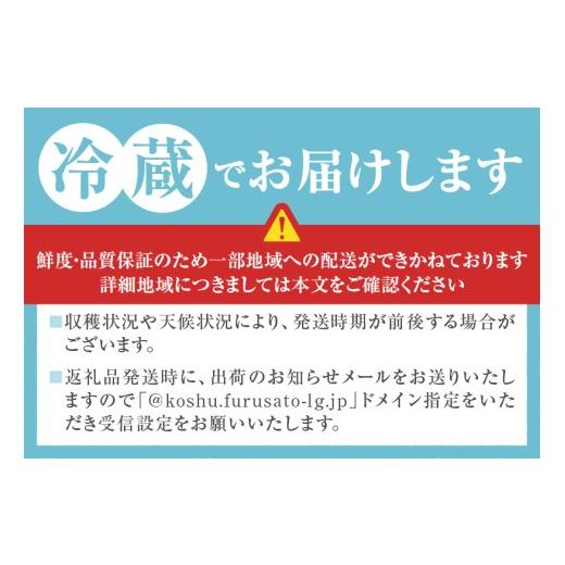 ふるさと納税 もも 山梨県 甲州市 農家直送 訳あり 桃 約3kg 7〜15玉 2026年発送 （YKI）A08-990 桃 もも モモ 令和8年発送 期間限定 山梨県産 甲州市 フルー…の画像