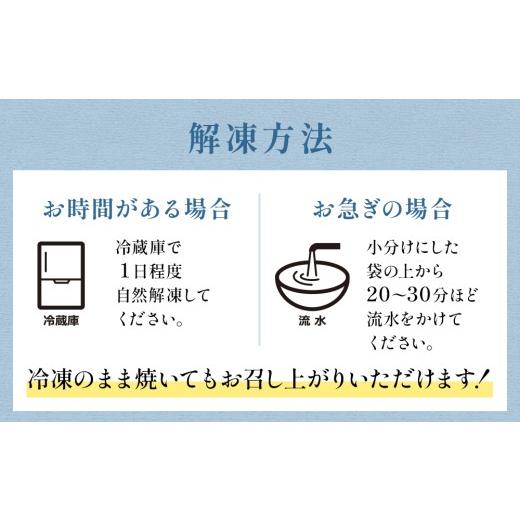 ふるさと納税 魚貝類 鮭 宮城県 石巻市  訳あり 冷凍 銀鮭 切り身 2kg × 6回 定期便 合計 12kg 銀鮭 冷凍 切身 肉厚 宮城東洋 宮城県 石巻 石巻市 さけ サケ …の画像