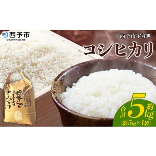 ふるさと納税 米 コシヒカリ 愛媛県 西予市 新米 令和7年産 西予市宇和町産 コシヒカリ 約5kg お米 コメ こめ 白米 精米 単一原料米 ご飯 白飯 ごはん 穀物 コ…