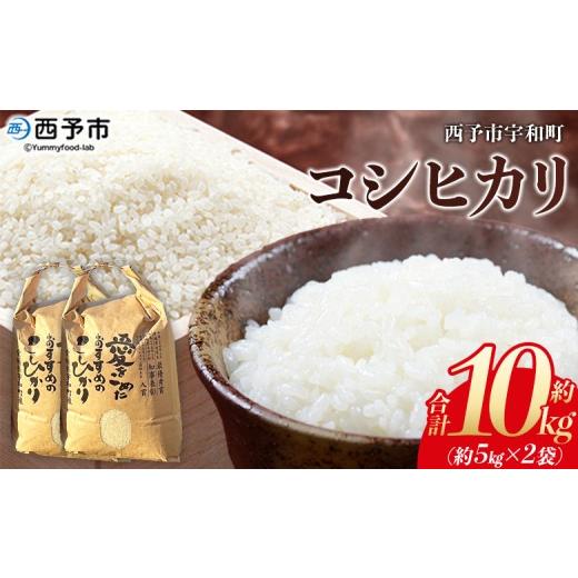 ふるさと納税 米 コシヒカリ 愛媛県 西予市 令和7年産 西予市宇和町産 コシヒカリ 約10kg お米 コメ こめ 白米 精米 単一原料米 ご飯 白飯 ごはん 穀物 コシ…
