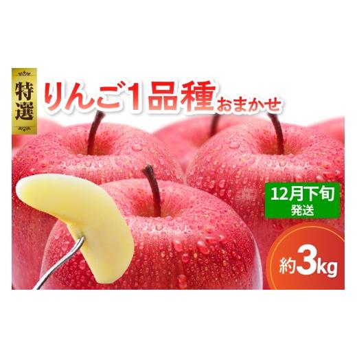 ふるさと納税 りんご 青森県 五所川原市 2025年12月下旬発送 特選 旬の美味しい りんご 約3kg 青森産 おまかせ1品種 12月下旬発送(21日〜末日)