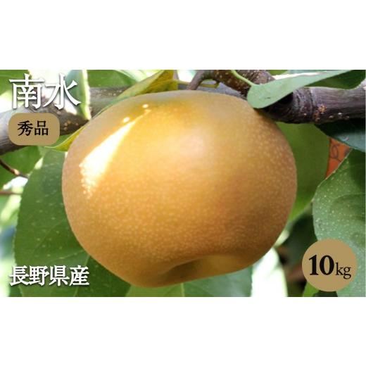 ふるさと納税 梨 長野県 飯田市 ジューシーで甘い 長野県産 なし 南水 約10kg 秀品 [2026年9月中旬〜10月中旬発送]| 山下屋荘介 果物 くだもの フルーツ 南…
