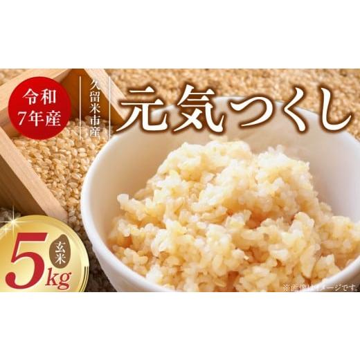 ふるさと納税 米 福岡県 久留米市 令和7年産 新米 福岡県産ブランド米元気つくし 玄米 5kg_Gr067 玄米 5kg
