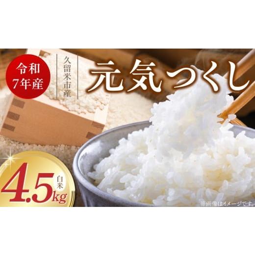 ふるさと納税 米 福岡県 久留米市 令和7年産 新米 福岡県産ブランド米元気つくし 白米 4.5kg_Gr069 白米 4.5kg