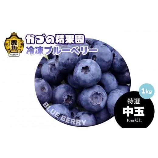 ふるさと納税 果物類 秋田県 鹿角市 ブルーベリー(冷凍)特選 中玉 1kg 単品 かづの精果園 ●2026年1月上旬発送 冷凍 栄養 効果 アントシアニン サプリ 藍苺 …