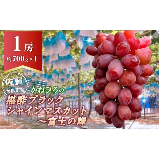 ふるさと納税 ぶどう マスカット 佐賀県 太良町 贈答 かねひろの黒酢ブラックシャインマスカット〜富士の輝き 1房 700g 佐賀県 太良町 NC26x1 2026年9月発送…