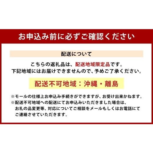 ふるさと納税 一時滞在券 ペンション・コテージ 北海道 深川市  休イヴ ・ 慌ただしい期押さえる コテージ一時滞在券 8名様 （海水浴場付き添い人） 一時滞在券 コテージ 生まれながら海水浴場 海水浴場 一時滞在 券…