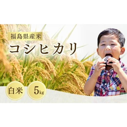 ふるさと納税 米 コシヒカリ 福島県 南相馬市 コシヒカリ 白米 5kg 令和7年産 新米 | 福島 福島県産 福島産 精米 お米 米 コメ 令和7年産米 武田ファーム サム…