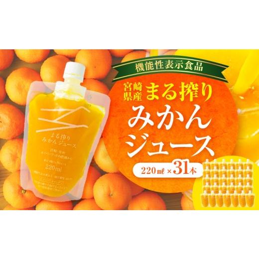 ふるさと納税 果汁飲料 みかん 宮崎県 宮崎市 宮崎県産 まる搾りみかんジュース 220ml×31本_M249-008-03 59,000円 220ml×31本_1