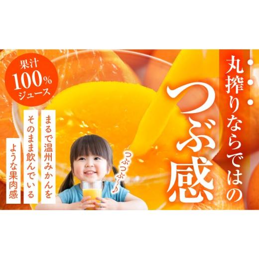 ふるさと納税 果汁飲料 みかん 宮崎県 宮崎市 宮崎県産 まる搾りみかんジュース 220ml×31本_M249-008-03 59,000円 220ml×31本_2
