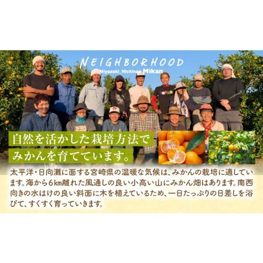 ふるさと納税 果汁飲料 みかん 宮崎県 宮崎市 宮崎県産 まる搾りみかんジュース 220ml×31本_M249-008-03 59,000円 220ml×31本_6