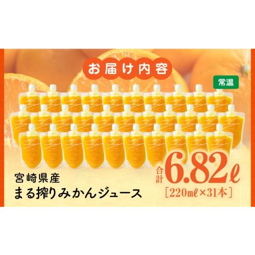 ふるさと納税 果汁飲料 みかん 宮崎県 宮崎市 宮崎県産 まる搾りみかんジュース 220ml×31本_M249-008-03 59,000円 220ml×31本_7