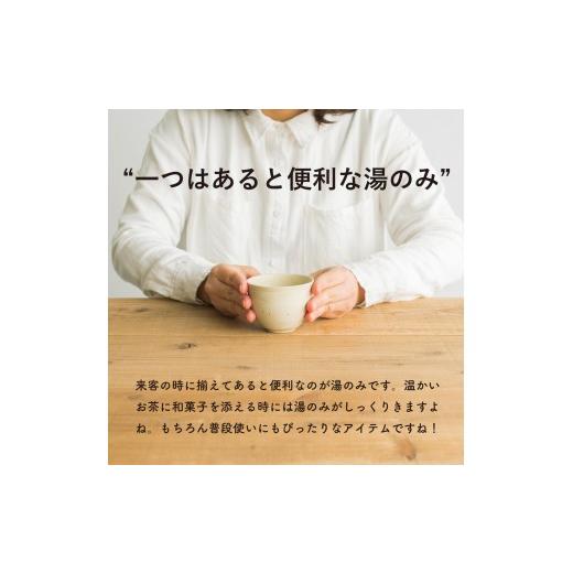 ふるさと納税 食器・グラス 湯呑 滋賀県 甲賀市 湯のみ　とび茶生成りセット　s18-cu13 信楽焼・明山_2
