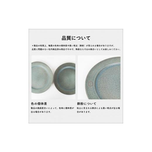 ふるさと納税 食器・グラス 皿 滋賀県 甲賀市 リムプレートM 淡青磁2枚セット s18-di14-A8 信楽焼・明山の画像