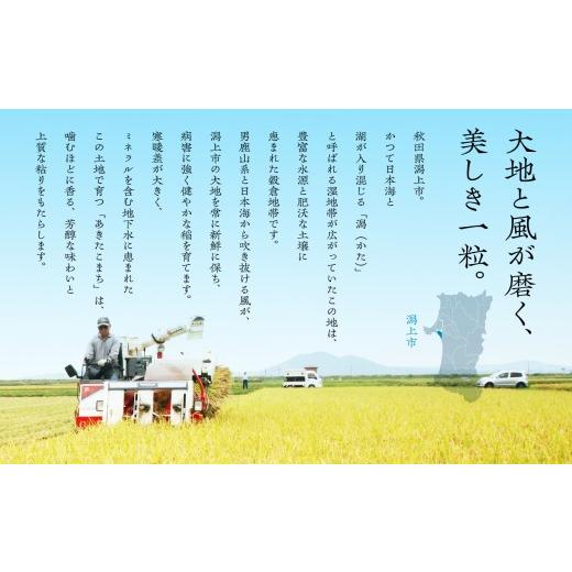 ふるさと納税 米 あきたこまち 秋田県 潟上市 米 あきたこまち 令和7年産 白米 30kg(5kg×6) 5kg袋 選べる 容量 5キロ 小分け 米 お米 おこめ コスパ ふるさと…の画像