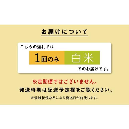 ふるさと納税 米 あきたこまち 秋田県 潟上市 米 あきたこまち 令和7年産 白米 30kg(5kg×6) 5kg袋 選べる 容量 5キロ 小分け 米 お米 おこめ コスパ ふるさと…の画像