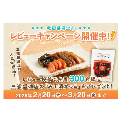 ふるさと納税 米 あきたこまち 秋田県 潟上市 米 あきたこまち 令和7年産 白米 30kg(5kg×6) 5kg袋 選べる 容量 5キロ 小分け 米 お米 おこめ コスパ ふるさと…の画像