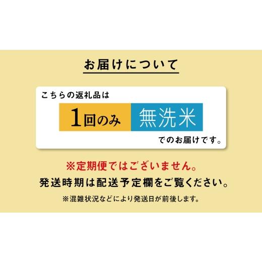 ふるさと納税 無洗米 秋田県 潟上市 《新米先行予約》 令和8年産 秋田県産あきたこまち 無洗米 20kg 5kg×4 秋田のこまち農場 潟上市 20kg(5kg×4)_4