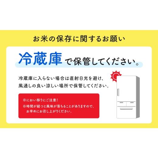 ふるさと納税 米 あきたこまち 秋田県 潟上市 定期便 米 あきたこまち 令和7年産 白米 5kg(5kg×1) × 6ヶ月 5kg袋 選べる容量 定期 5キロ 6ヶ月 6か月 6回 お…の画像