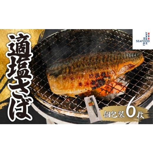 ふるさと納税 旬の鮮魚等 千葉県 銚子市 適塩さば 真空 個包装 6枚 さば 鯖 塩さば 塩鯖 適塩 適塩さば さばフィーレ 鯖フィーレ さばフィレ 鯖フィレ 切り身 …