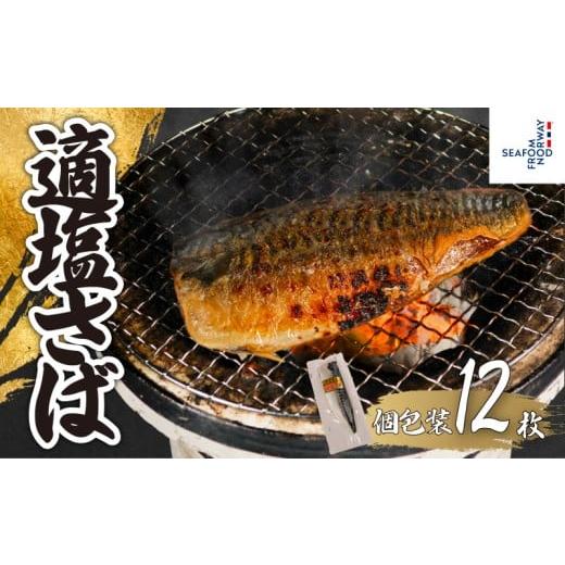 ふるさと納税 旬の鮮魚等 千葉県 銚子市 適塩さば 真空 個包装 12枚 さば 鯖 塩さば 塩鯖 適塩 適塩さば さばフィーレ 鯖フィーレ さばフィレ 鯖フィレ 切り身…