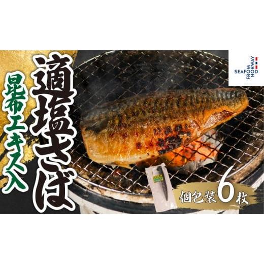 ふるさと納税 旬の鮮魚等 千葉県 銚子市 適塩さば 昆布エキス入 真空 個包装 6枚 さば 鯖 塩さば 塩鯖 適塩 適塩さば さばフィーレ 鯖フィーレ さばフィレ 鯖…