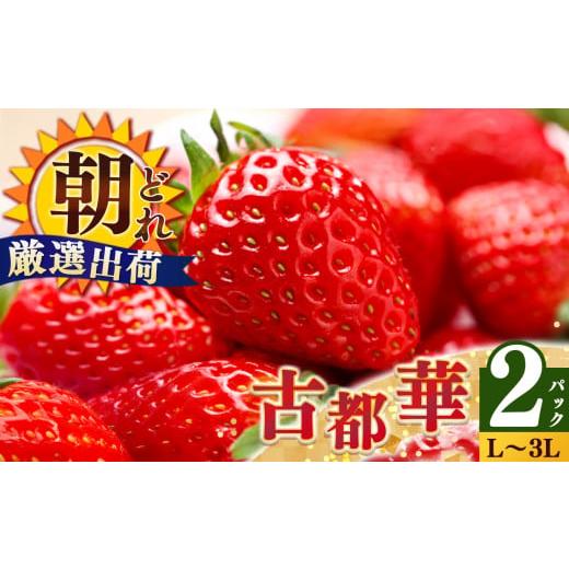 ふるさと納税 いちご 奈良県 平群町 ジューシー 平群の古都華 いちご L ~ 3L サイズ から 2種 (2パック1ケース)計 2パック 苺屋小東 |先行予約 フルーツ 果…