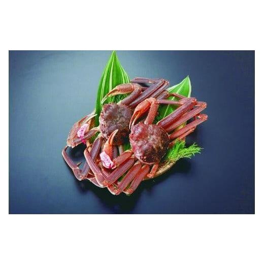 ふるさと納税 カニ 松葉ガニ 鳥取県 北栄町 ボイル タグ付き松葉ガニ 特大2枚 2025年11月上旬〜2026年3月下旬頃に順次発送予定 ボイル タグ付き松葉ガニ 特…