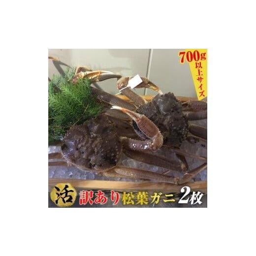 ふるさと納税 カニ 松葉ガニ 鳥取県 北栄町 活 訳あり 松葉ガニ 2枚 2025年11月上旬〜2026年3月下旬頃に順次発送予定 着日指定不可 活 訳あり松葉ガニ 2枚