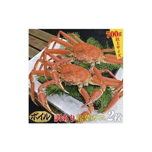 ふるさと納税 カニ 松葉ガニ 鳥取県 北栄町 ボイル 訳あり 松葉ガニ 2枚 2025年11月上旬〜2026年3月下旬頃に順次発送予定 着日指定不可 ボイル 訳あり松葉…