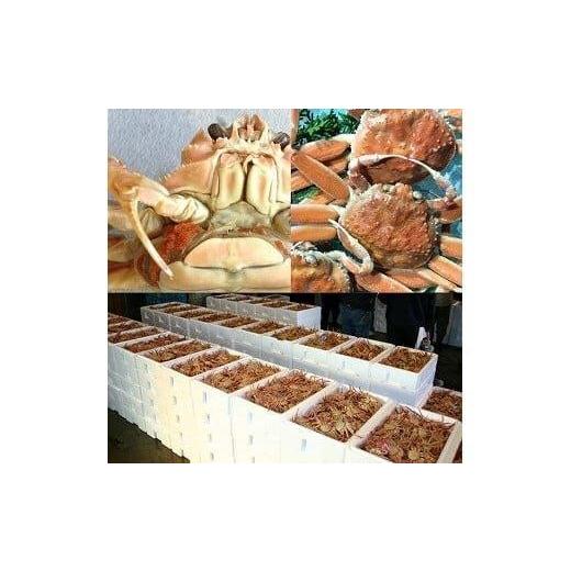 ふるさと納税 カニ 鳥取県 北栄町  活 鳥取県産 セコガニ 訳あり 良品 2kg 2026年11月上旬〜12月下旬頃に順次発送予定 ｜ 蟹 かに せこがに せこ蟹 訳あり 家…_3